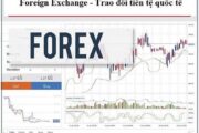 Đặc điểm chung của Forex